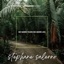 No More Tears No More Lies - Single