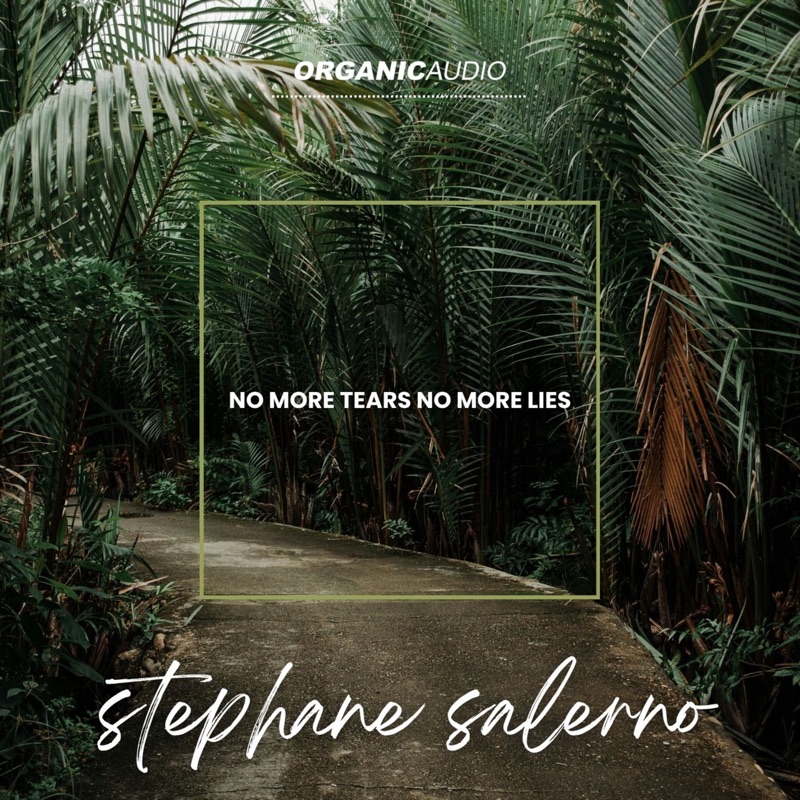 No More Tears No More Lies - Single
