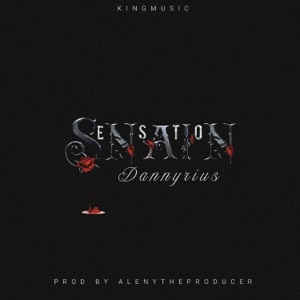 Sensation - Single