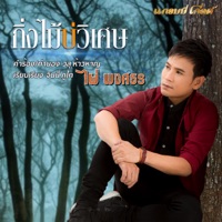 กิ่งไม้บ่วิเศษ - Single - Pai Pongsathon