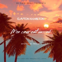 Mon cœur est vacciné (feat. Clayton Hamilton) - Single - DJ-SAID GHALi