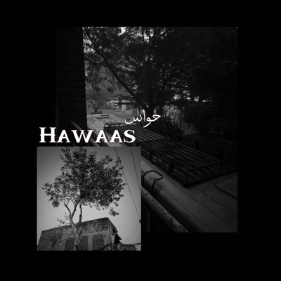 Hawaas - Single