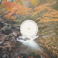 Background Flow for Mental Clarity - Single - Skyfoil Experiments & Binaural Doctor