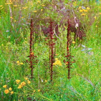 By the Sword - Single