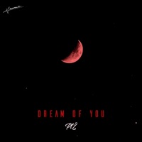 Dream of you, Pt. 2 - Single - Samu Drumm3r