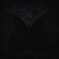 Papillon Noir - Single - Bashar