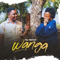 Wanga - Single - Jay MphaA