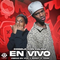 Cogelo Con Calma (En Vivo) - Single - Vibras En Vivo & Danny & Temg
