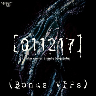 Anomalous Flow VIP Hit Em Up (feat. Marsterchef) - Single