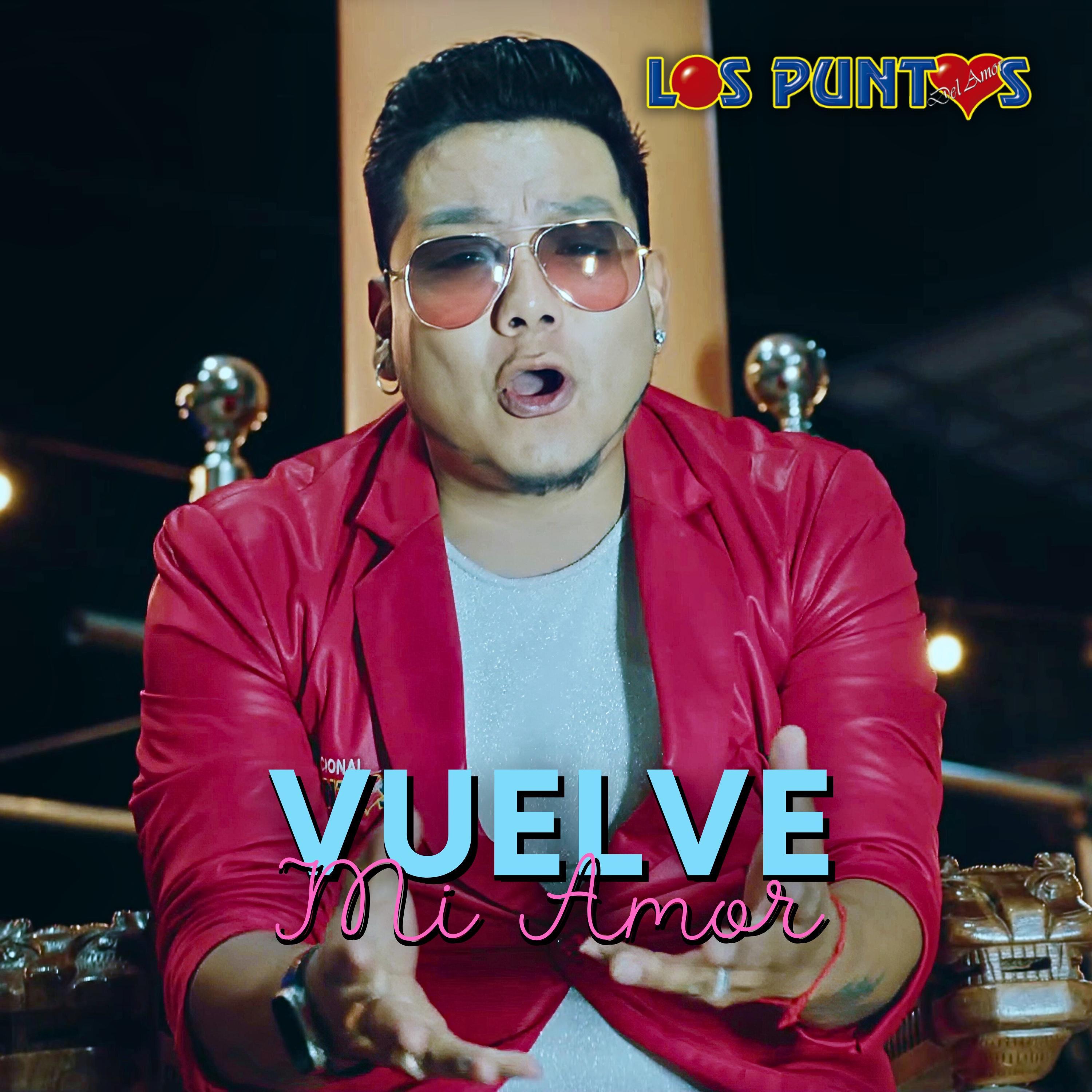 Vuelve Mi Amor - Single
