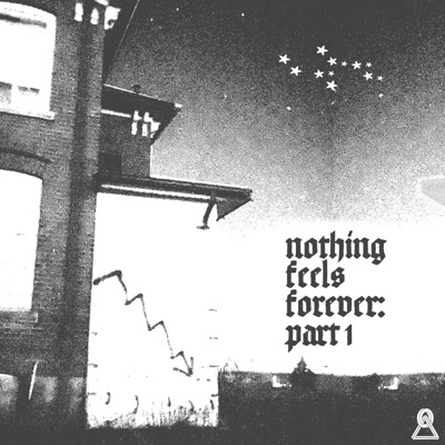 Nothing Feels Forever, Pt. 1