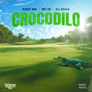 Crocodilo