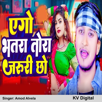 Ego Bhatra Tora Jaruri Chho - Single