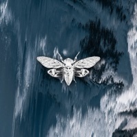 Trap - Single - Ahmet Halici