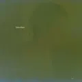 Moon is Bright