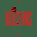 Reasons