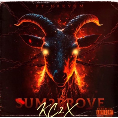 SUM 2 PROVE (feat. hakyhm) - Single