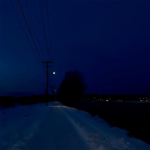 fear - Single