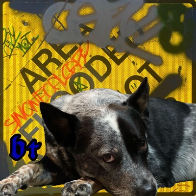 badtrip (feat. Capy & fenttrip) - EP
