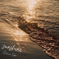 sunshine - Damien Sebe