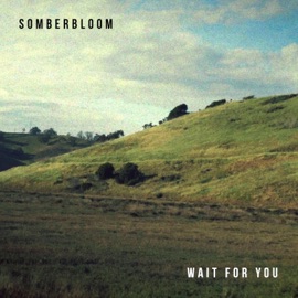 Wait For You Somberbloom