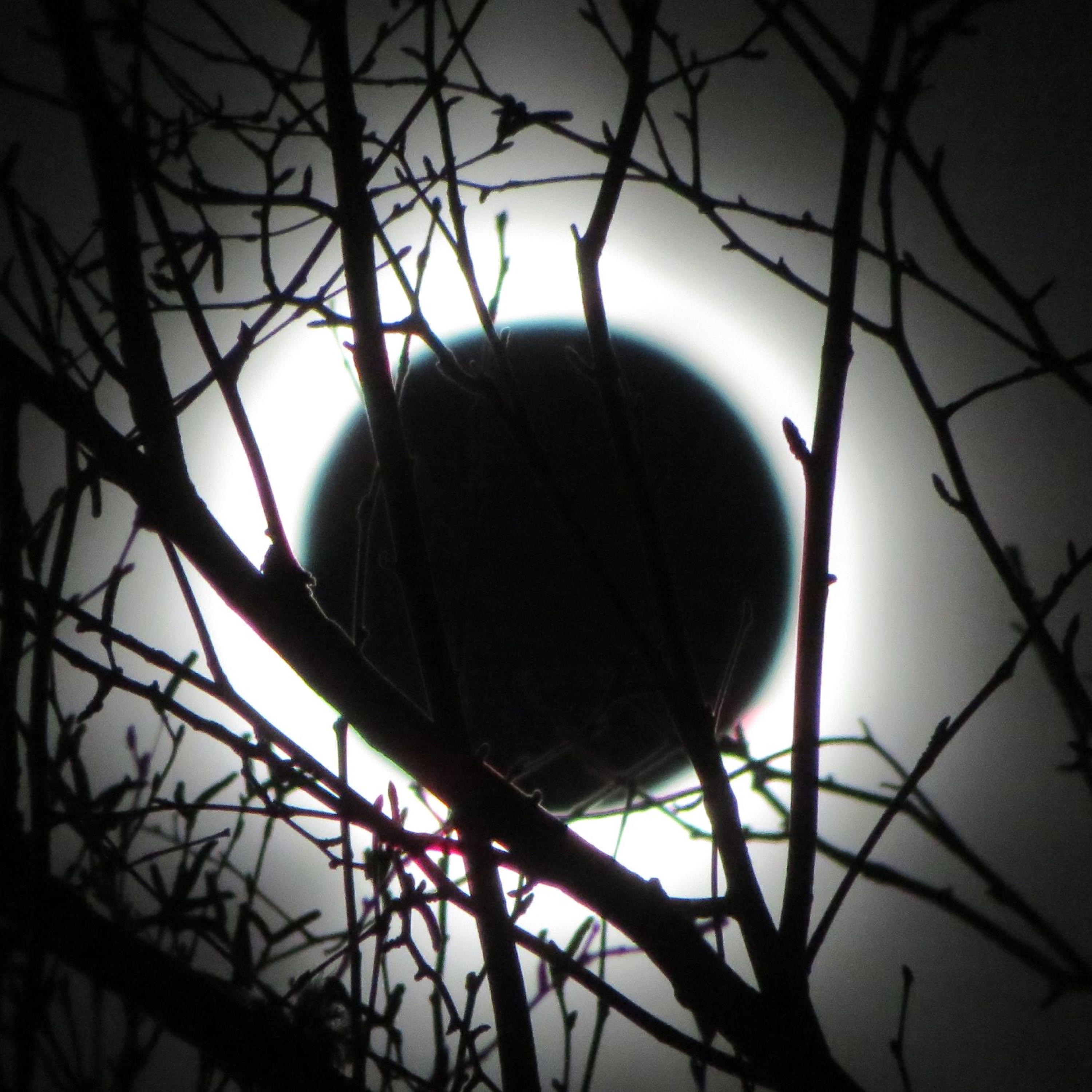 THE JOURNEY - Single