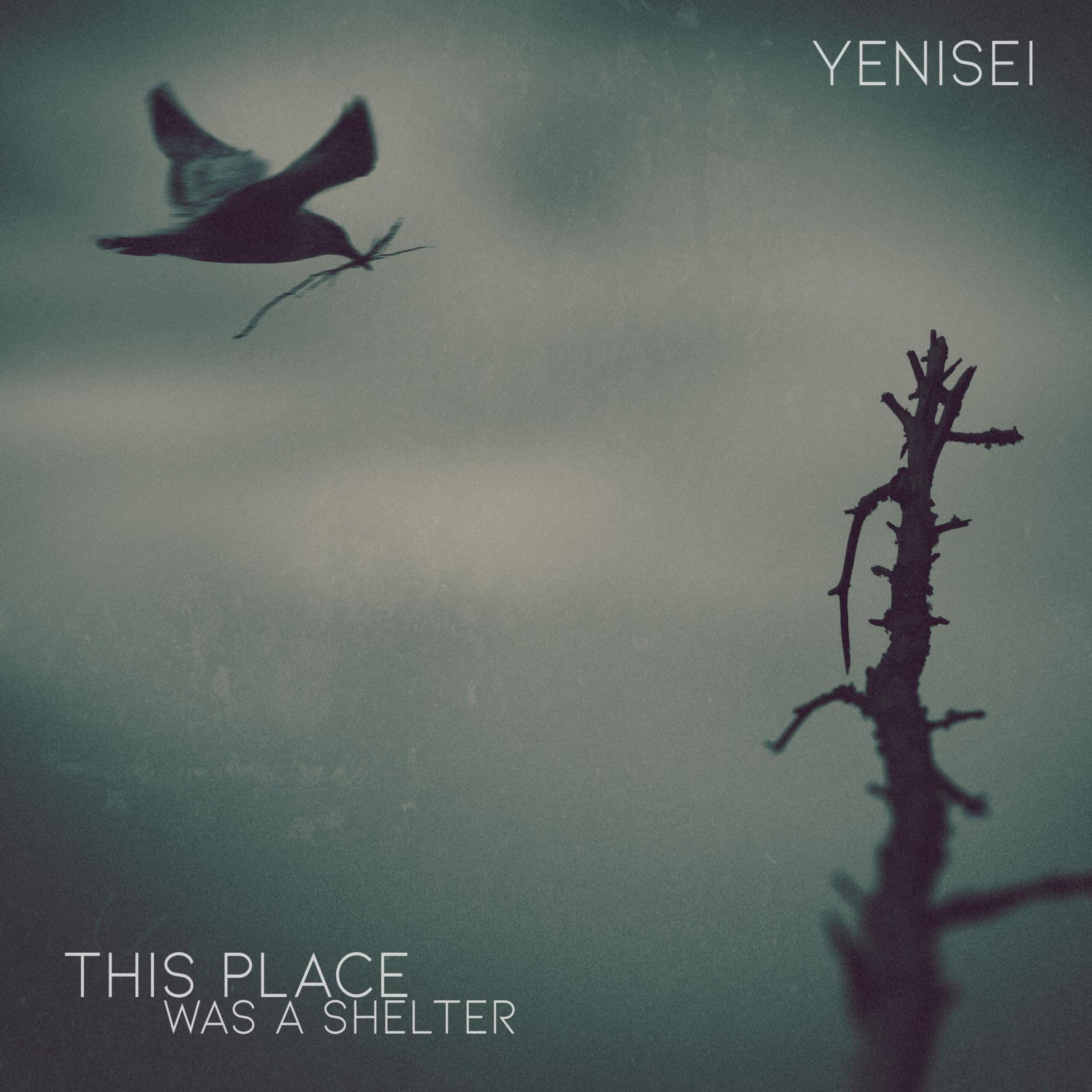 This Place Was A Shelter - Single