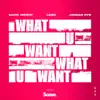 What U Want