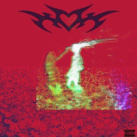 dran's (interlude) NXVA & Jannii