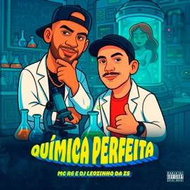 Química Perfeita Dj Leozinho da Zs & Mc R6