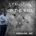 Standing On The Wall