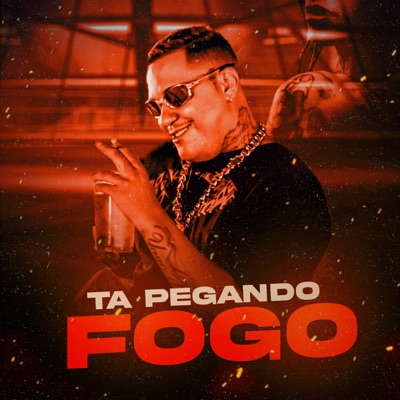 Ta Pegando Fogo - Single