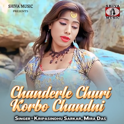 Chanderle Churi Korbo Chandni - Single