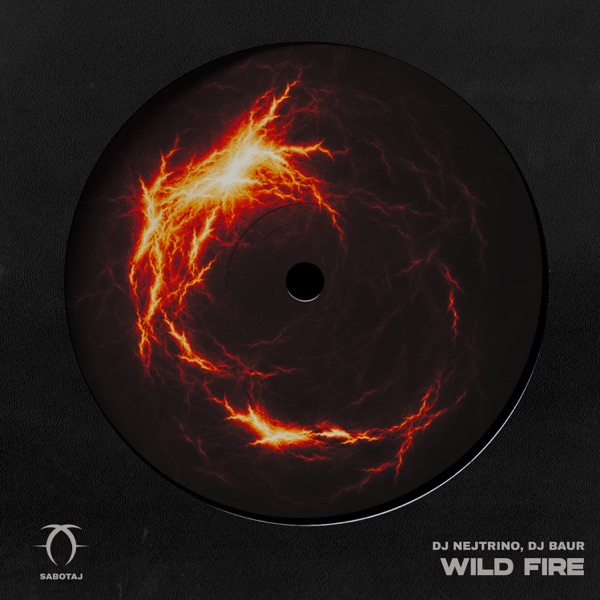 Wild Fire - Single