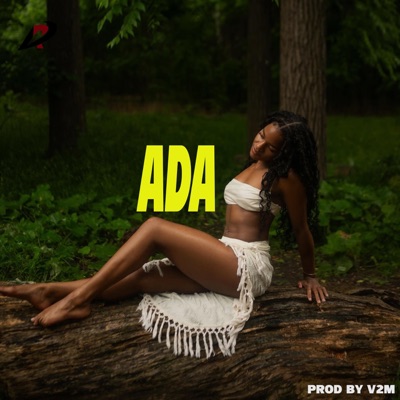 FREE afrobeat instrumentals amazing chill guitar ADA 2024 - Single