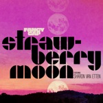 Fancy Gap - Strawberry Moon (feat. Sharon Van Etten)