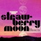 Strawberry Moon (feat. Sharon Van Etten) - Fancy Gap lyrics