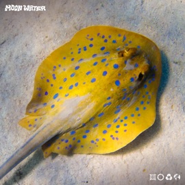 Ready To Fall Again Moon Water & ALYSS