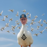 The False Flight of the Wild Geese - Single by Brother Ger on Apple Music
