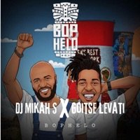 Bophelo (feat. Goitse Levati) - Single - DJ Mikah S