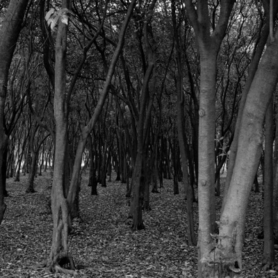 Algunos recuerdos son sombras - Single