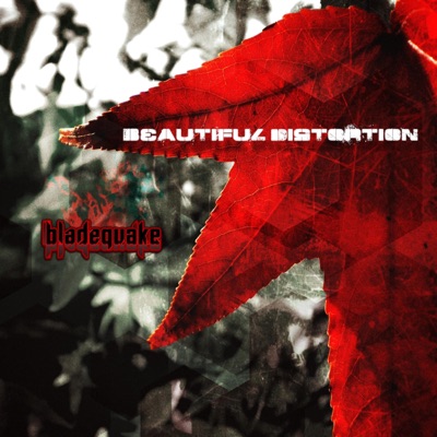 Beautiful Distortion