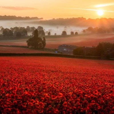 a young dope fiend, eighteen and alone - Single