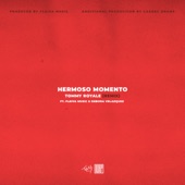 Hermoso Momento (Remix) [feat. Débora Velazquez & Fleiva Music] artwork