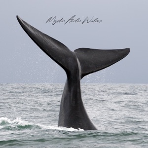 Mystic Arctic Waters - Single