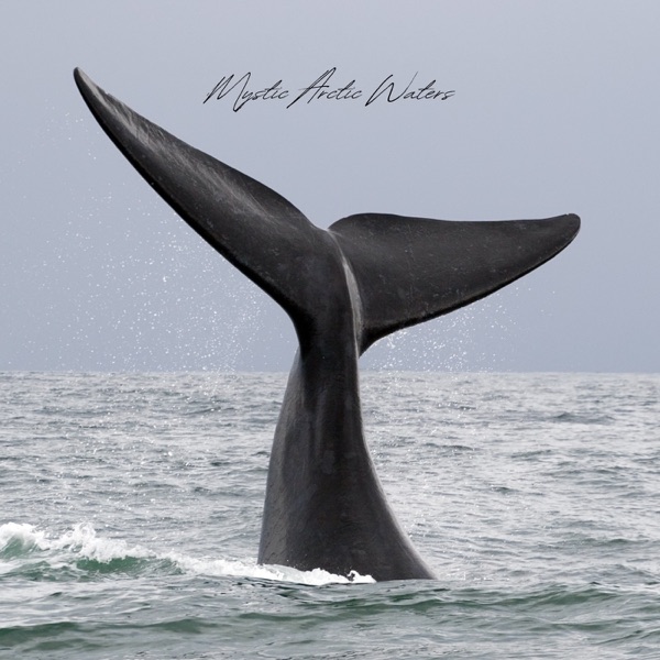 Mystic Arctic Waters - Single