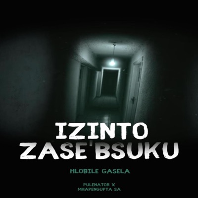 Izinto zase'Bsuku (Vocal mix) (feat. MhapenGupTa SA) - Single