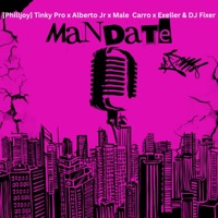 Mandate (feat. Philljoy, Tinky Pro, Alberto Jr, Exceller America & Home-Boy_Fixer) - Single - Male Carro
