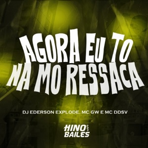 Agora Eu To na Mó Ressaca