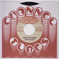 Fish Out Of Water (feat. Milton Henry & Channel Tubes) - Single - The Far East